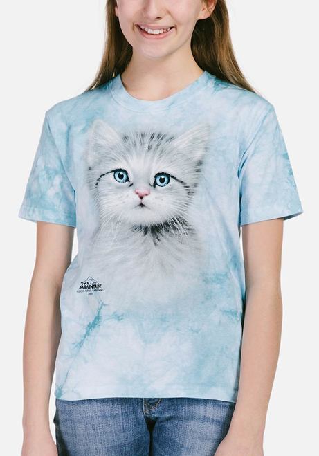 Blue Eyed Kitten