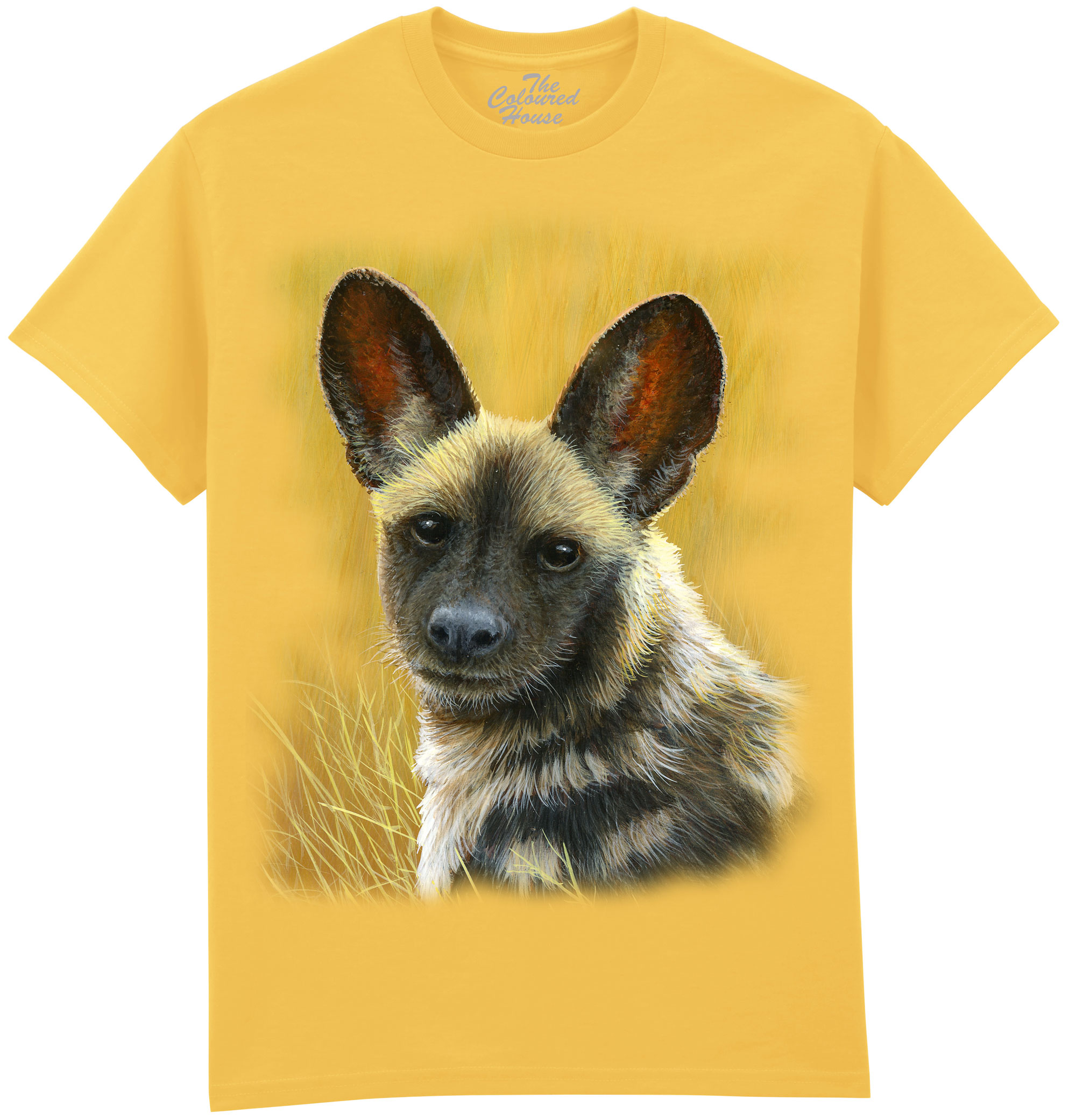 Wild Dog Pup