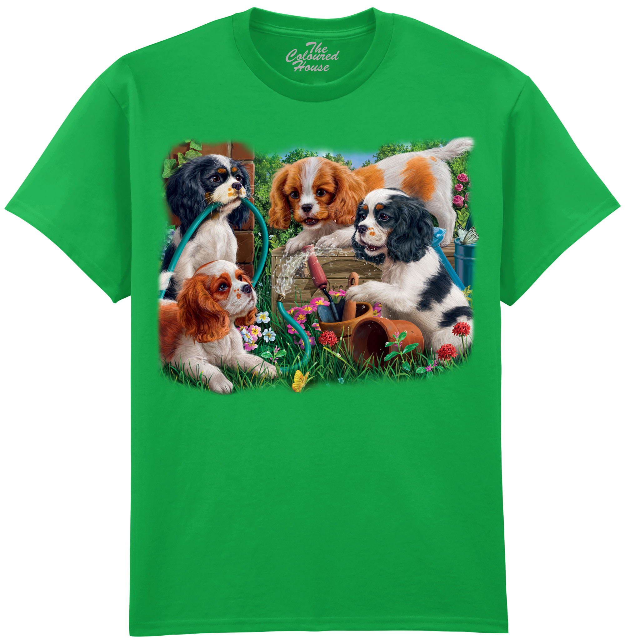 Puppies In The Garden