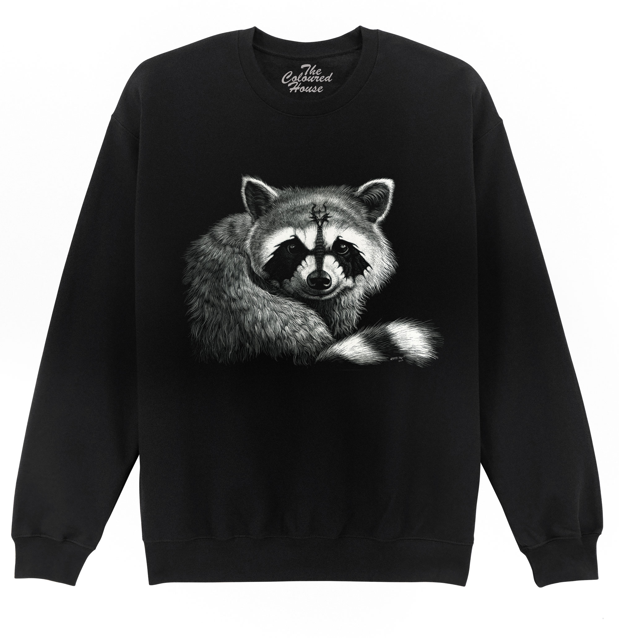 Draccoon Sweater