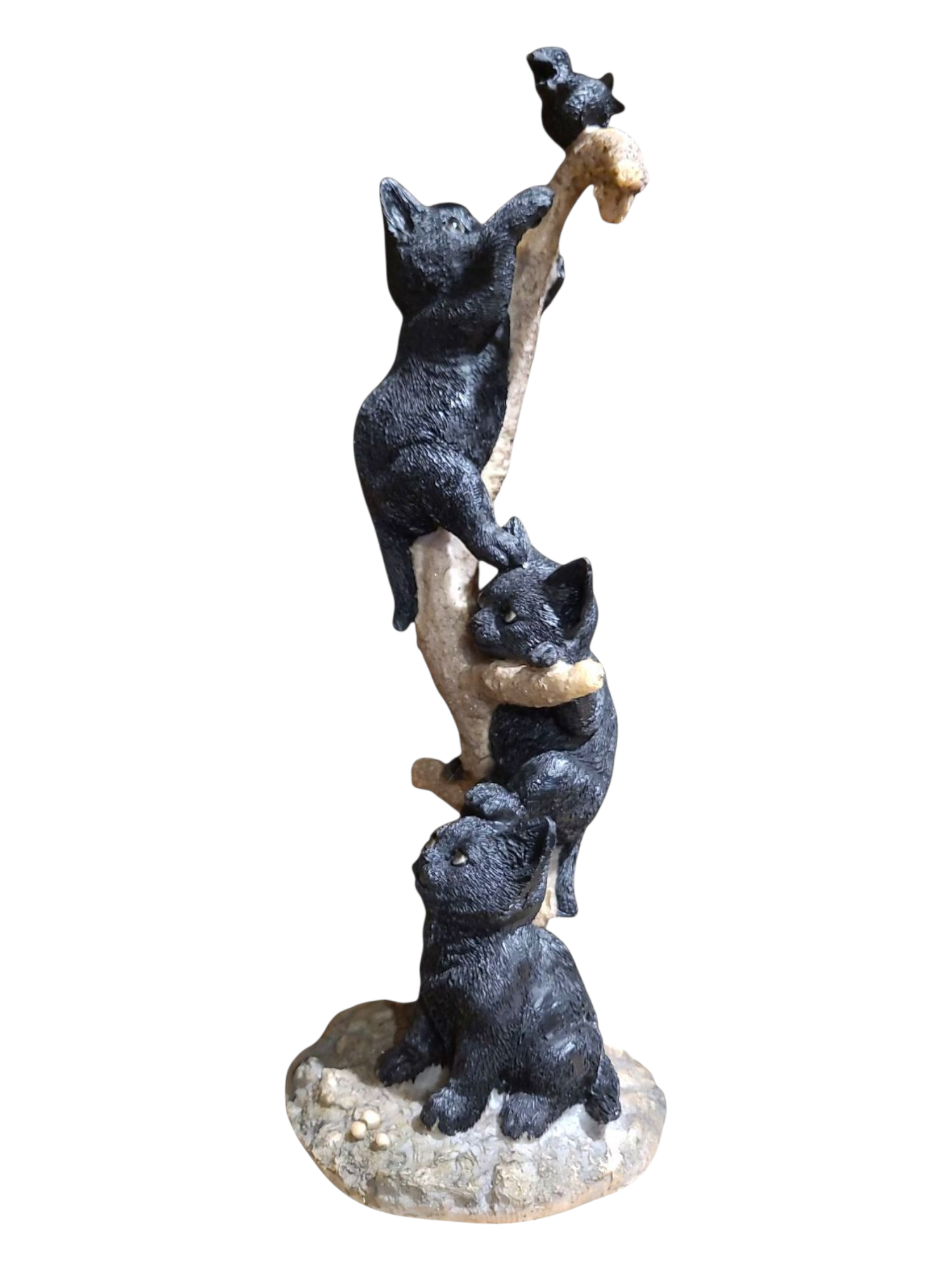 Black Cats Climbing