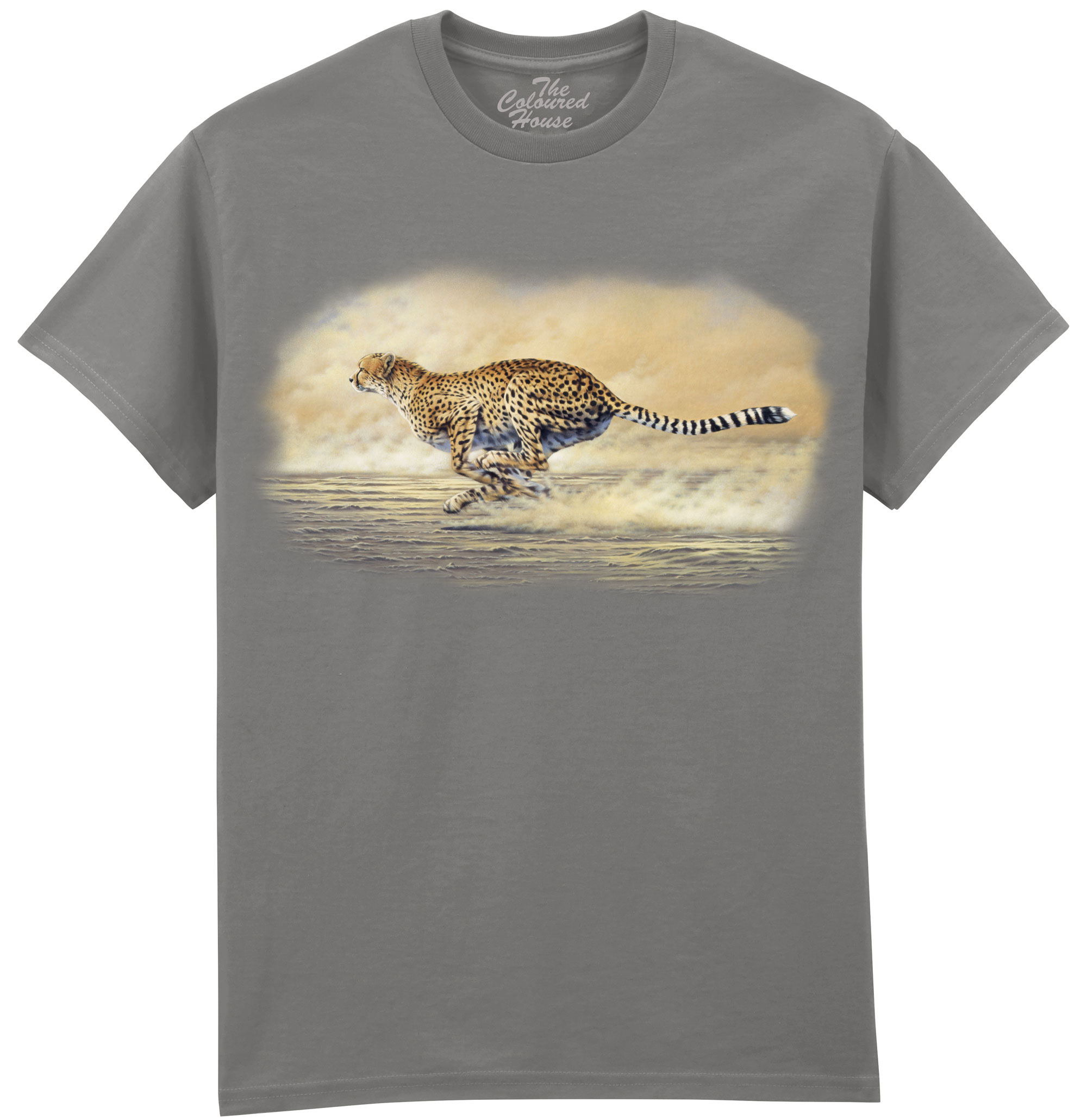 Chasing Cheetah