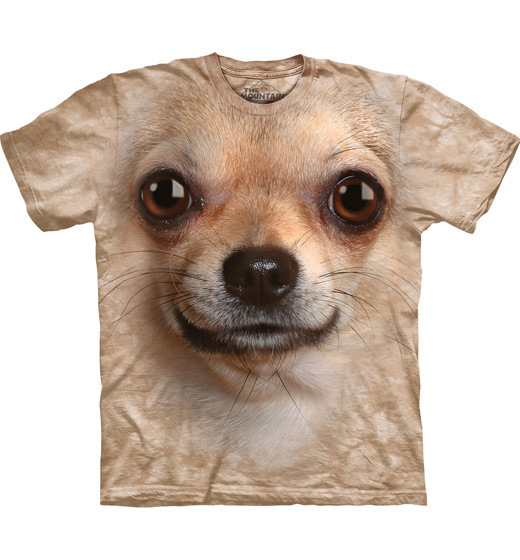 Chihuahua Face
