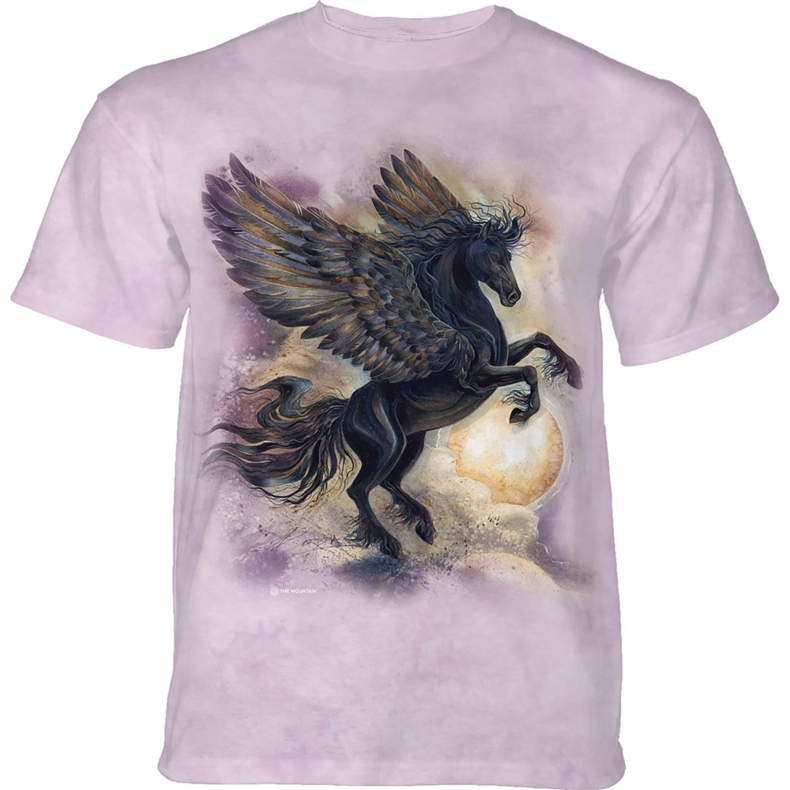 Pegasus