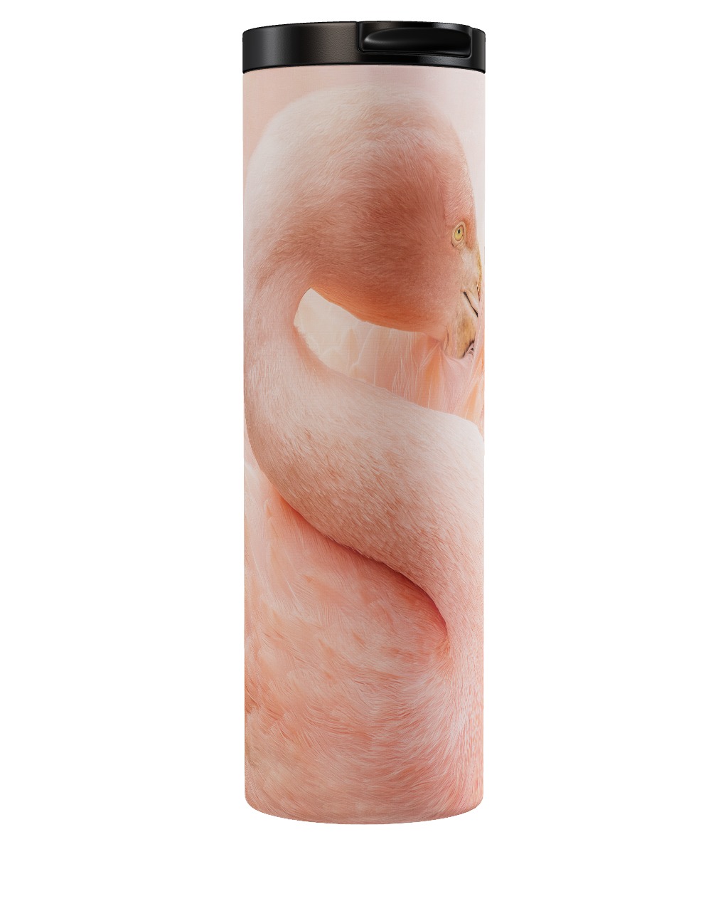 Cocoon Of Plumage Tumbler