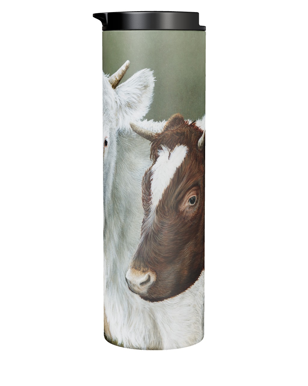 Northern Dairy Shorthorn Tumbler