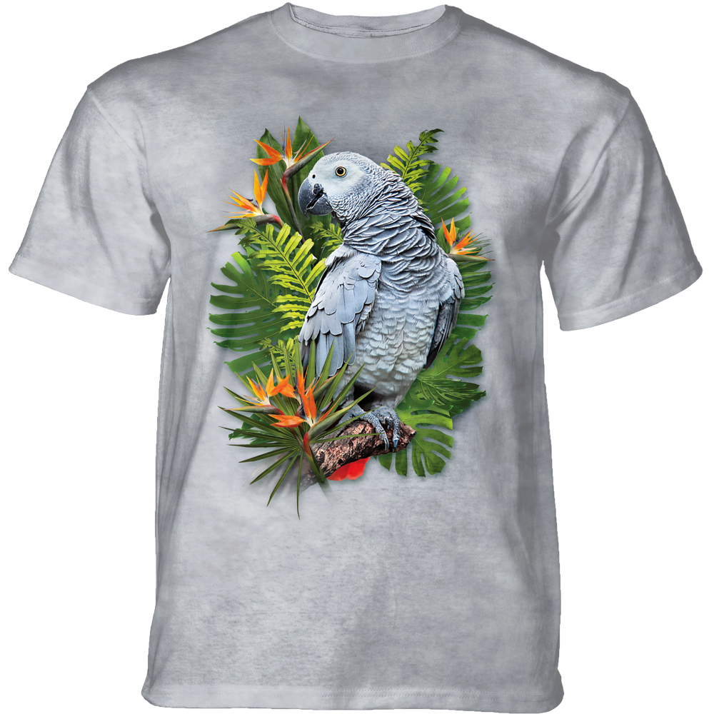 African Grey