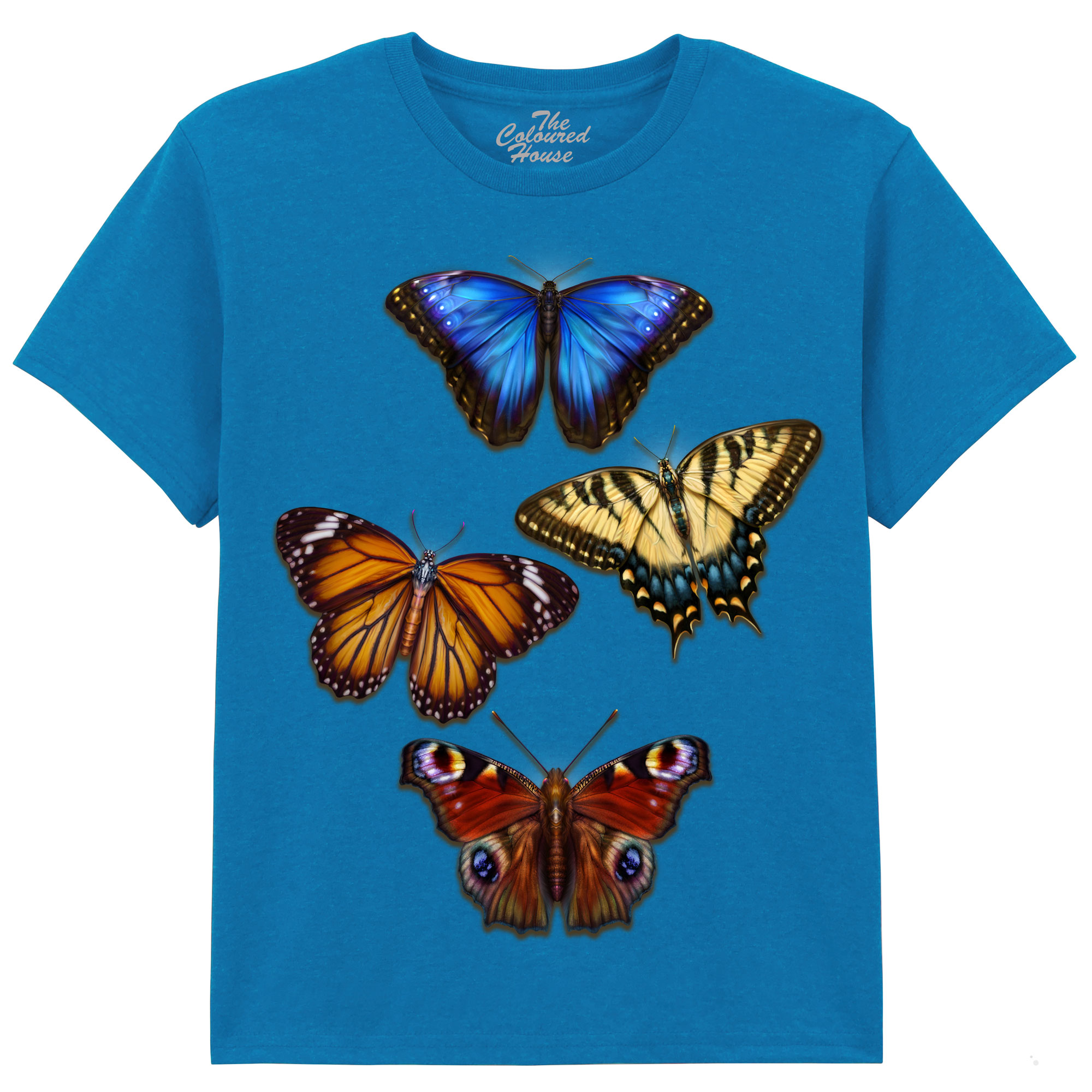 Butterflies 4 KIDS