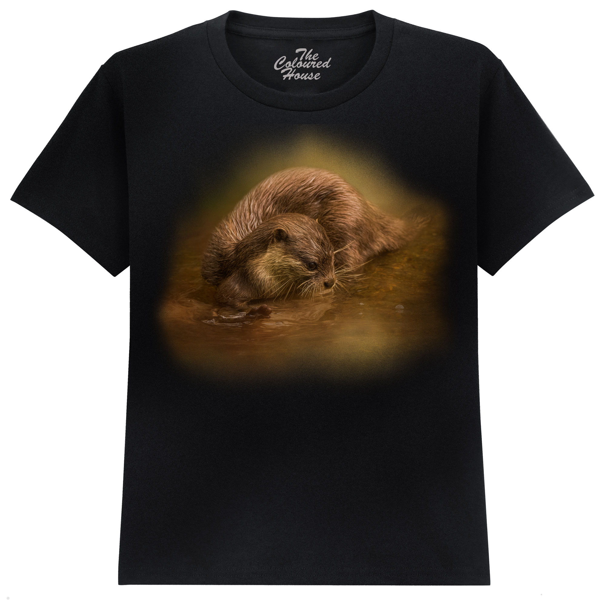 Otter Curiosity KIDS