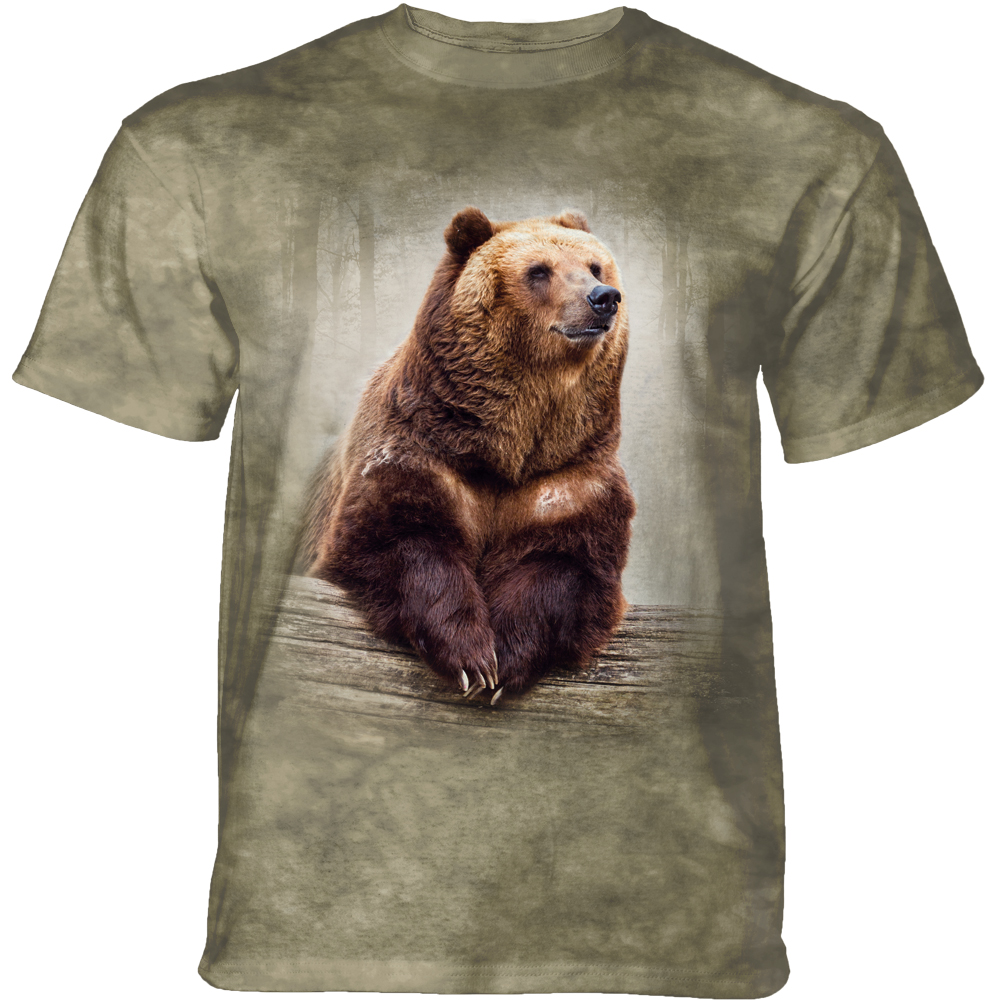 Resting Brown Bear