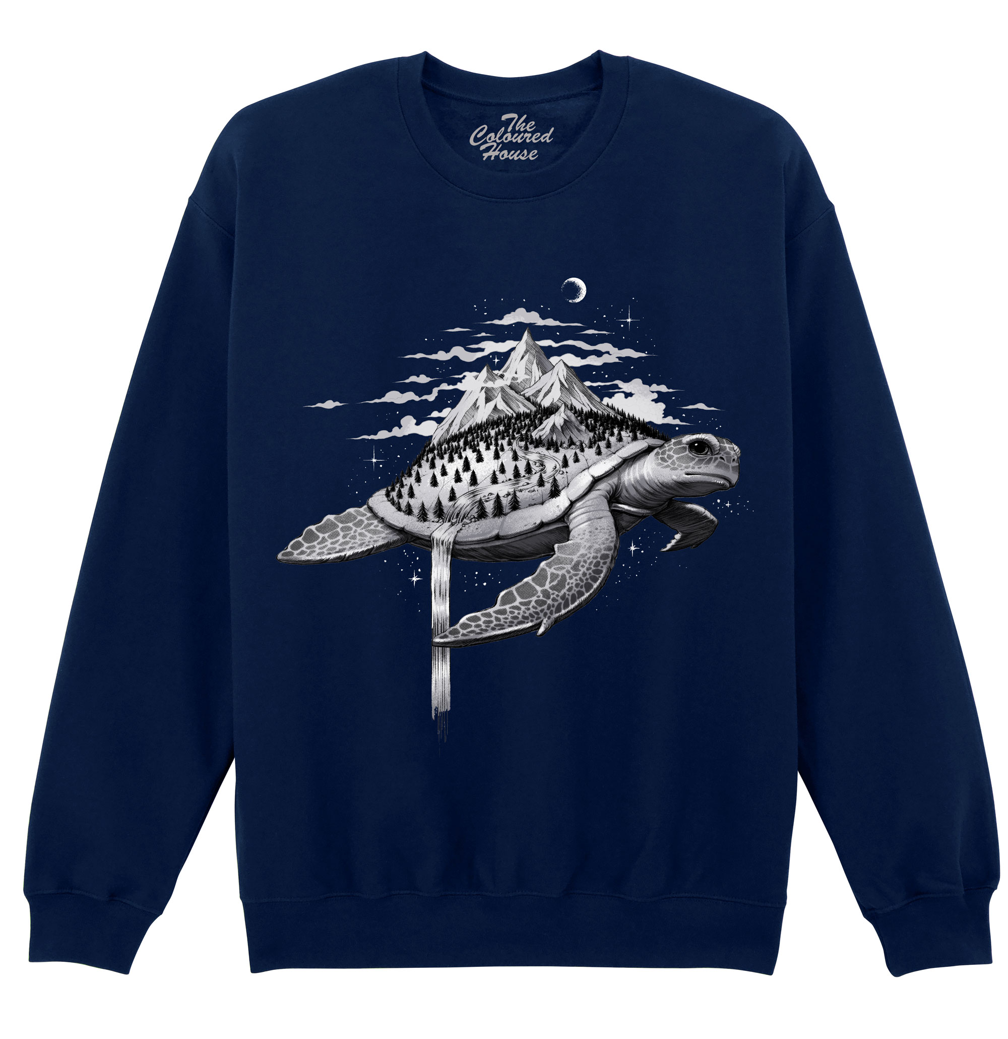 Adventure Turtle Sweater