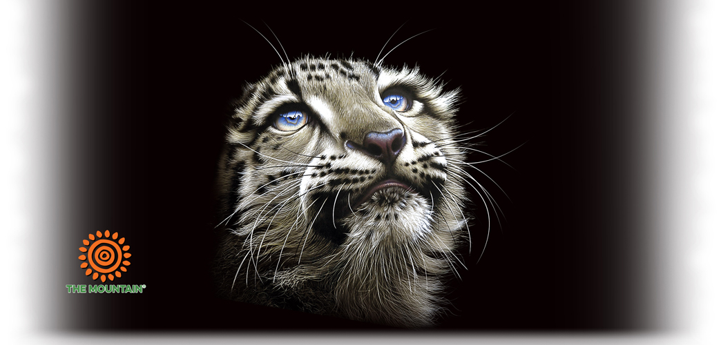 Snow Leopard Cub Mok