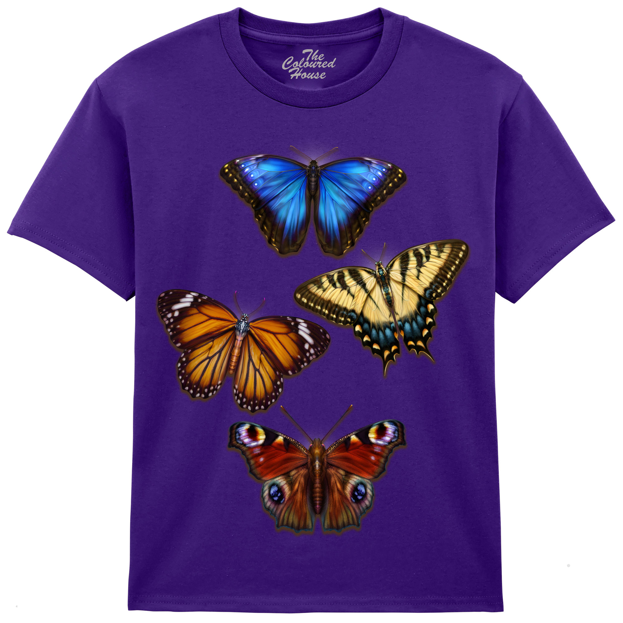 Butterflies 4 KIDS