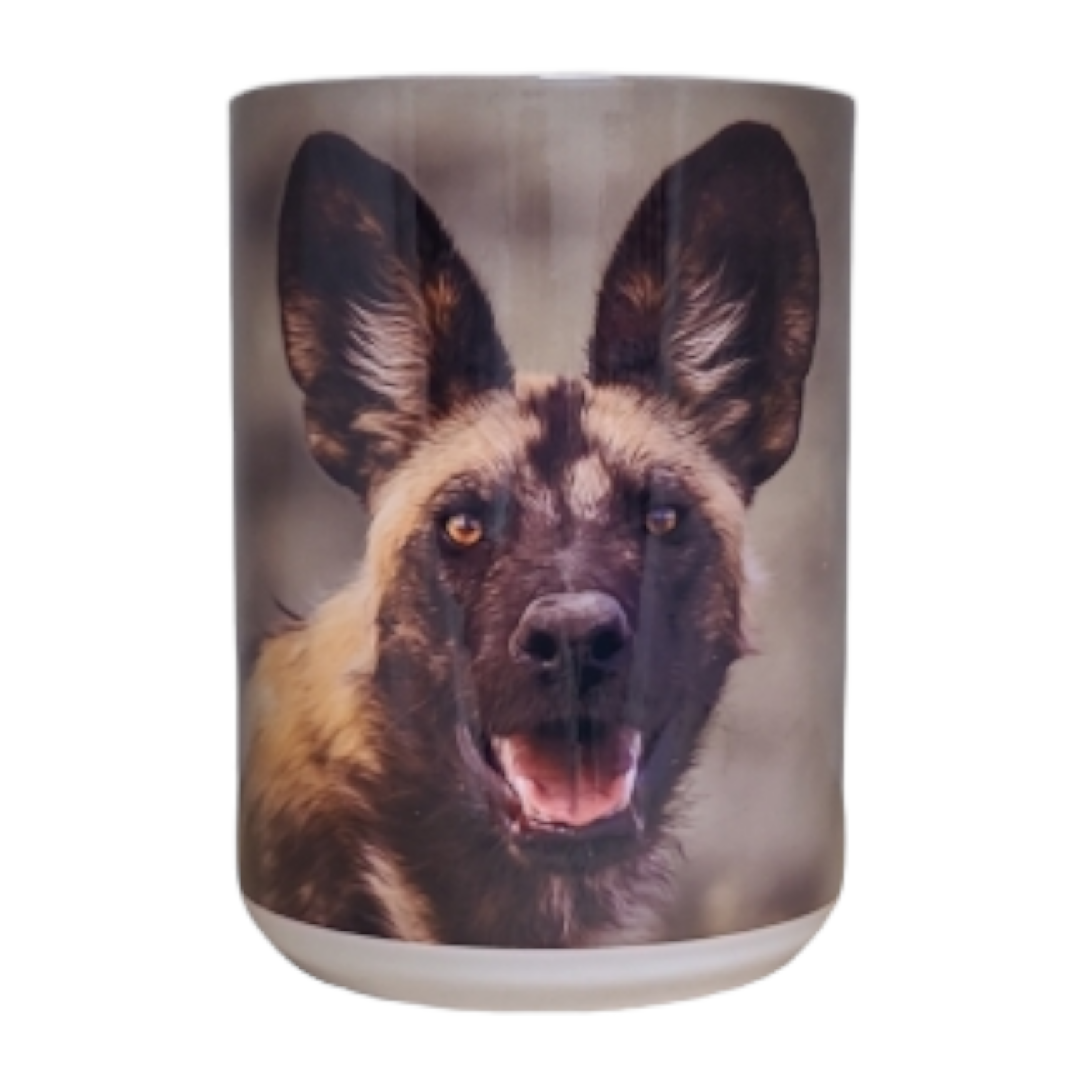 Becher African Wild Dog Portrait