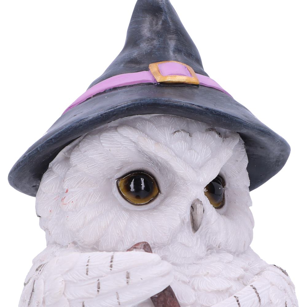 Owl Potion 17.5cm