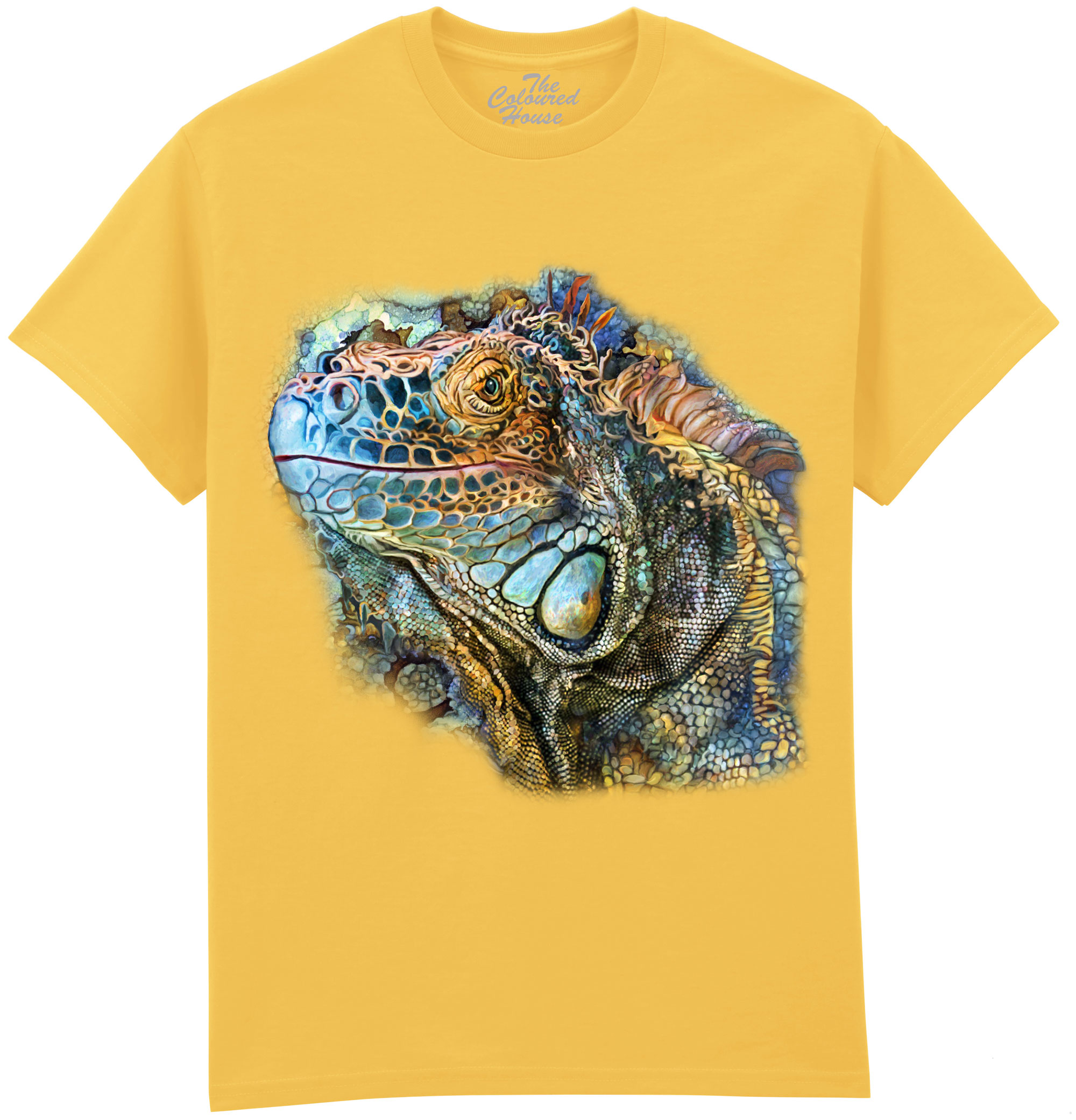 Iguana Spirit Of Contentment