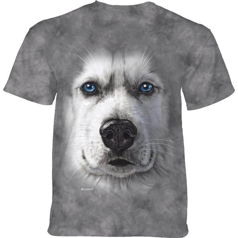 Big Face Siberian Husky