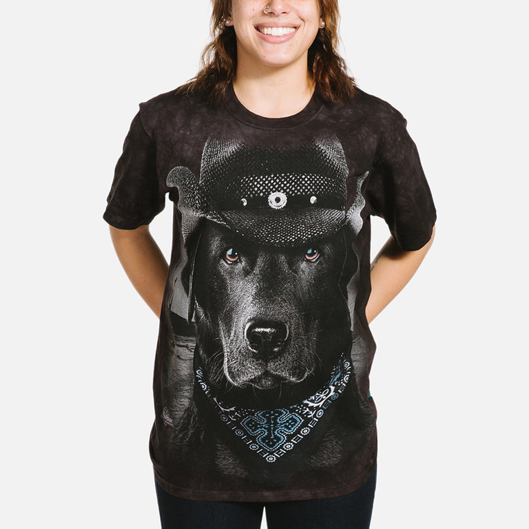 Cowboy Lab