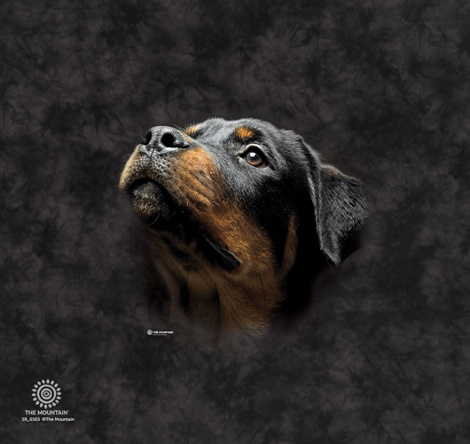 Angel Face Rottie Tumbler