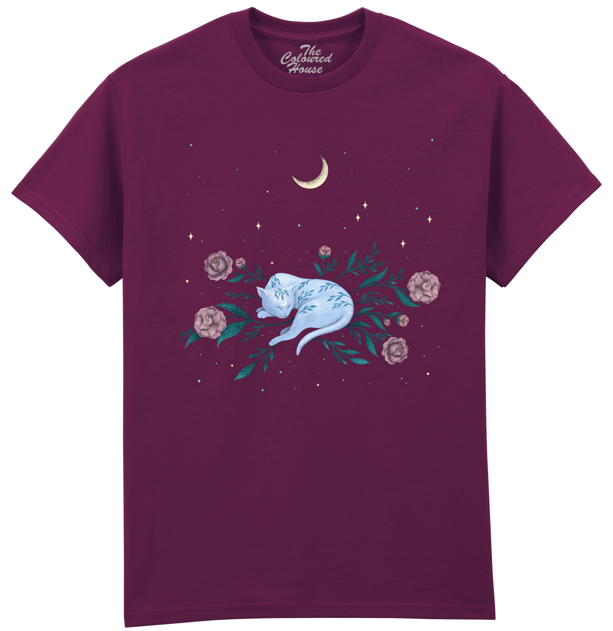 Cat Dreaming