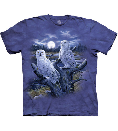 Snowy Owls