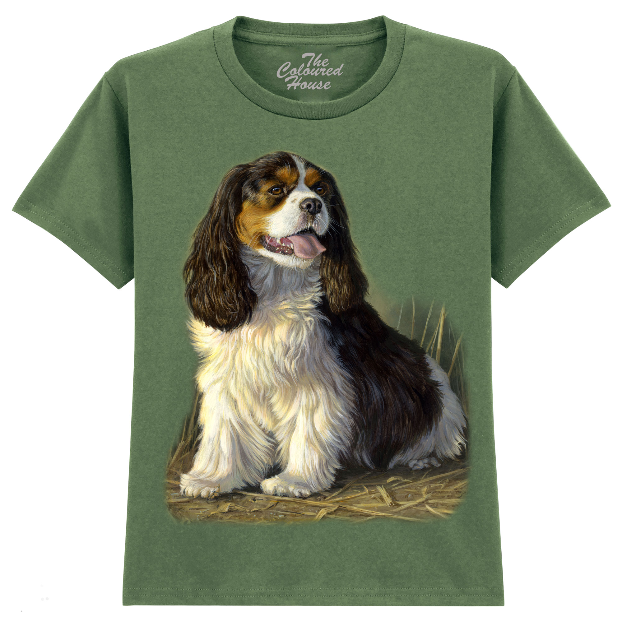 Cavalier King Charles Spaniel KIDS 