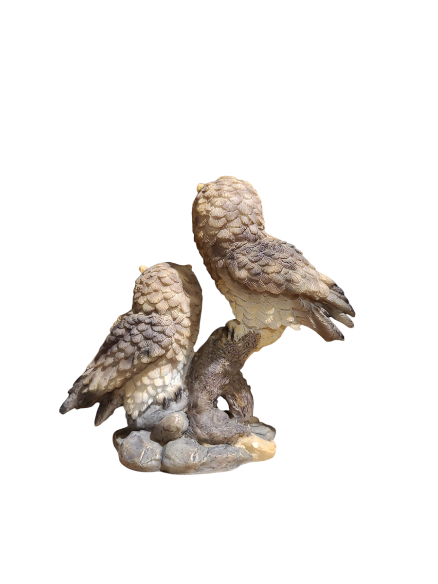Small Pair Of Great Horned Owls