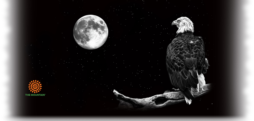 Becher By The Light Of The Moon