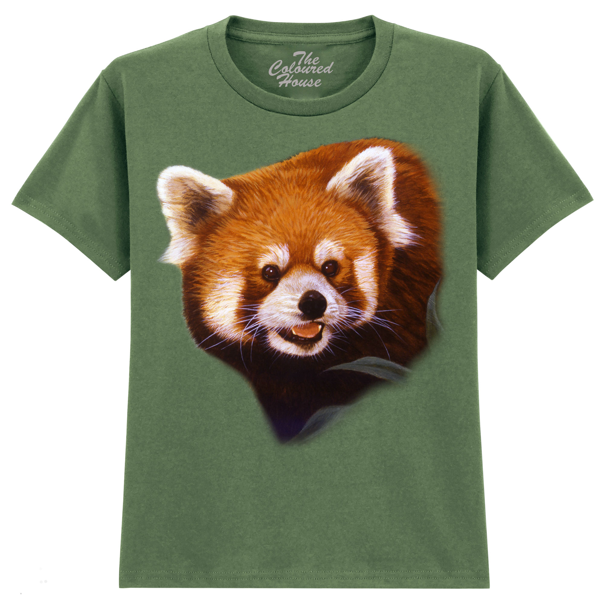 Hiding Out - Red Panda KIDS