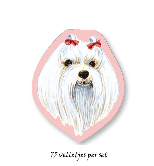 Maltese
