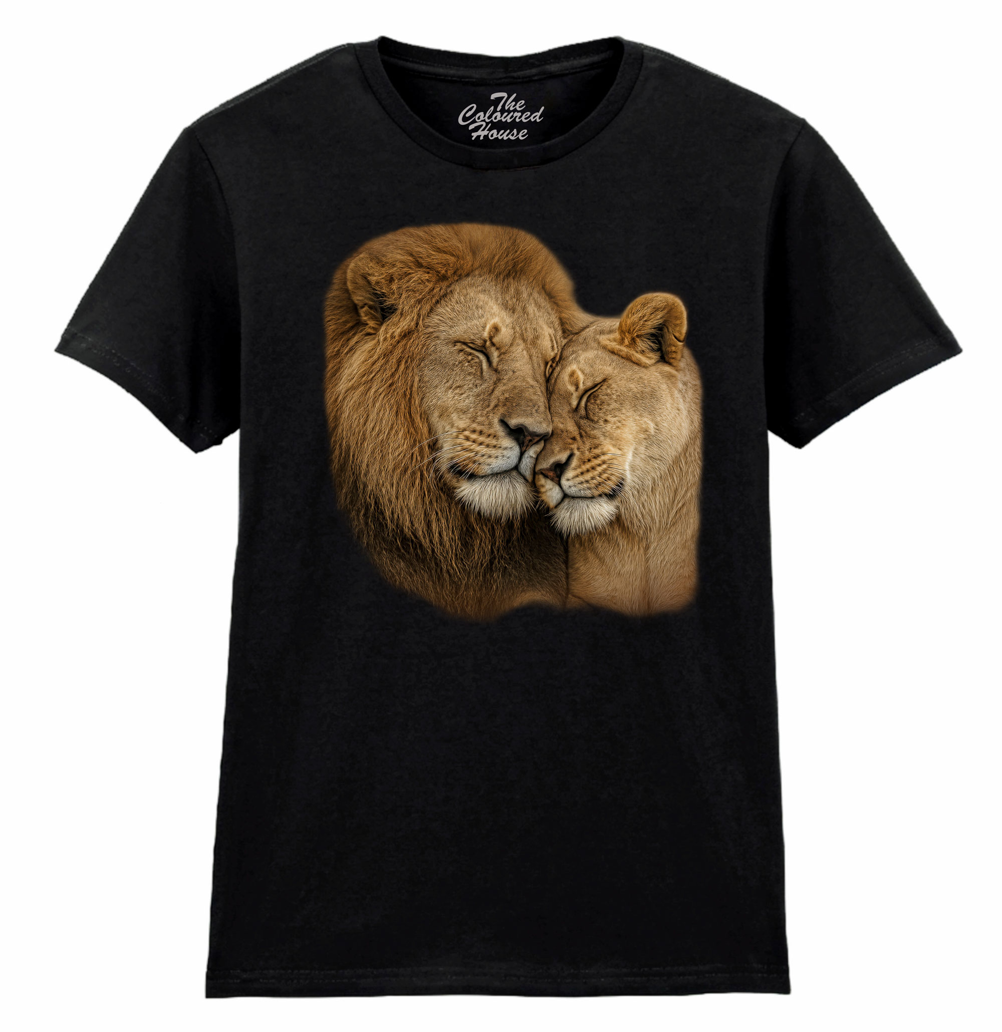 In The Arms Of The King Ladies T-shirt
