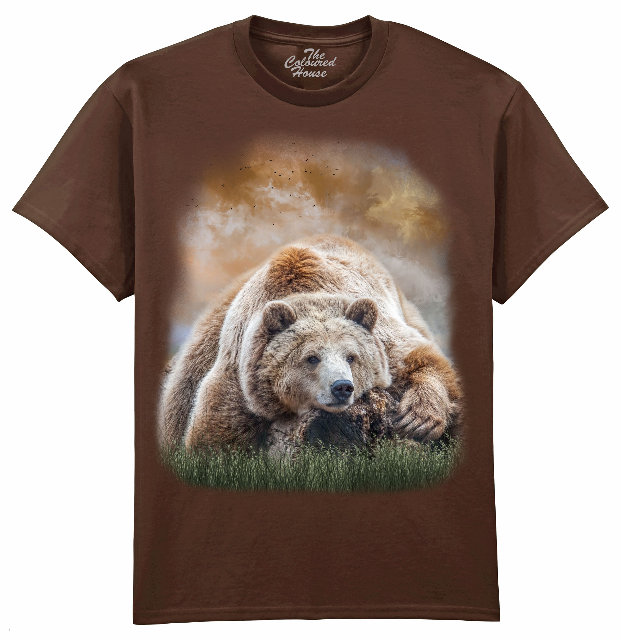 Bearly Awake