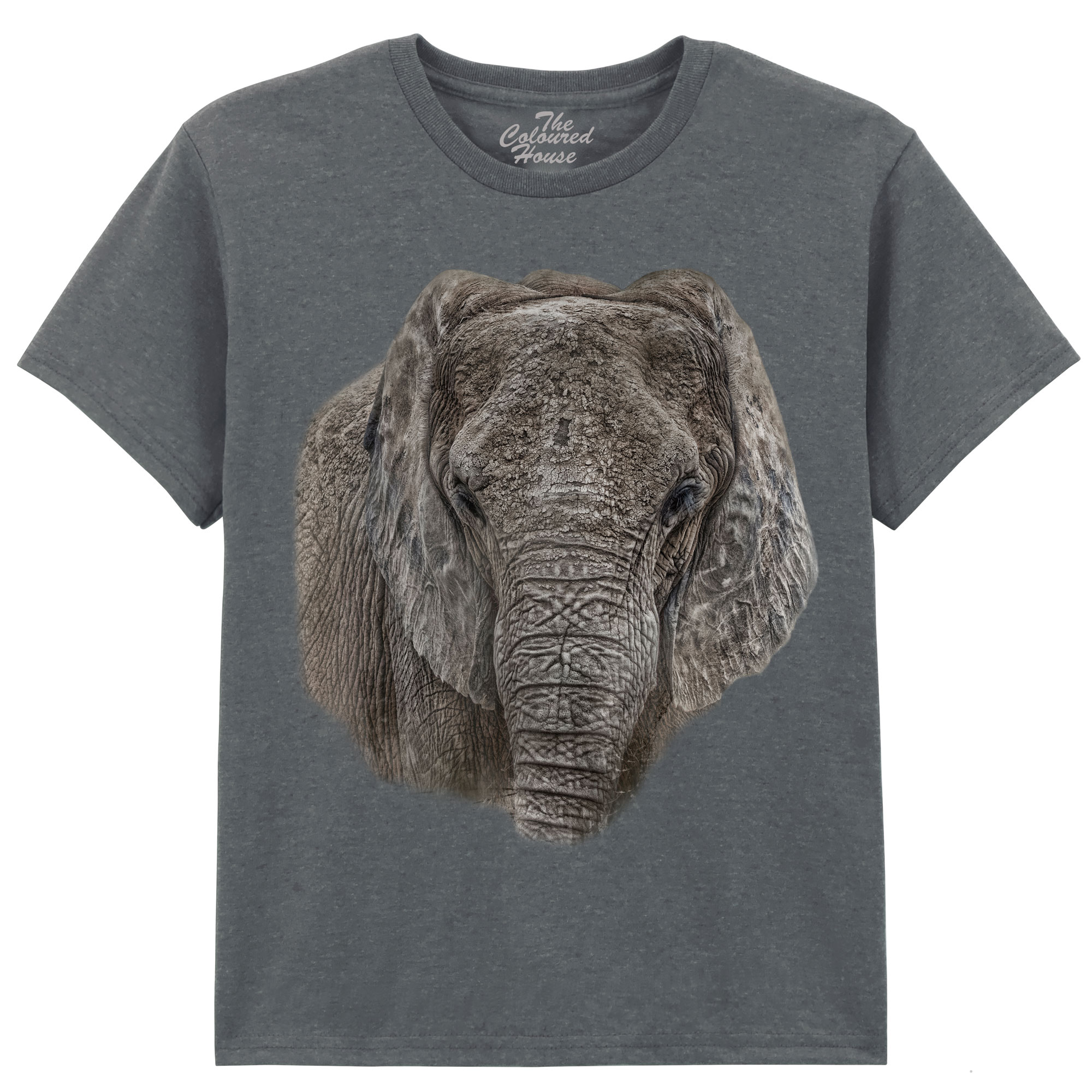 The Ancient One - Elephant KIDS