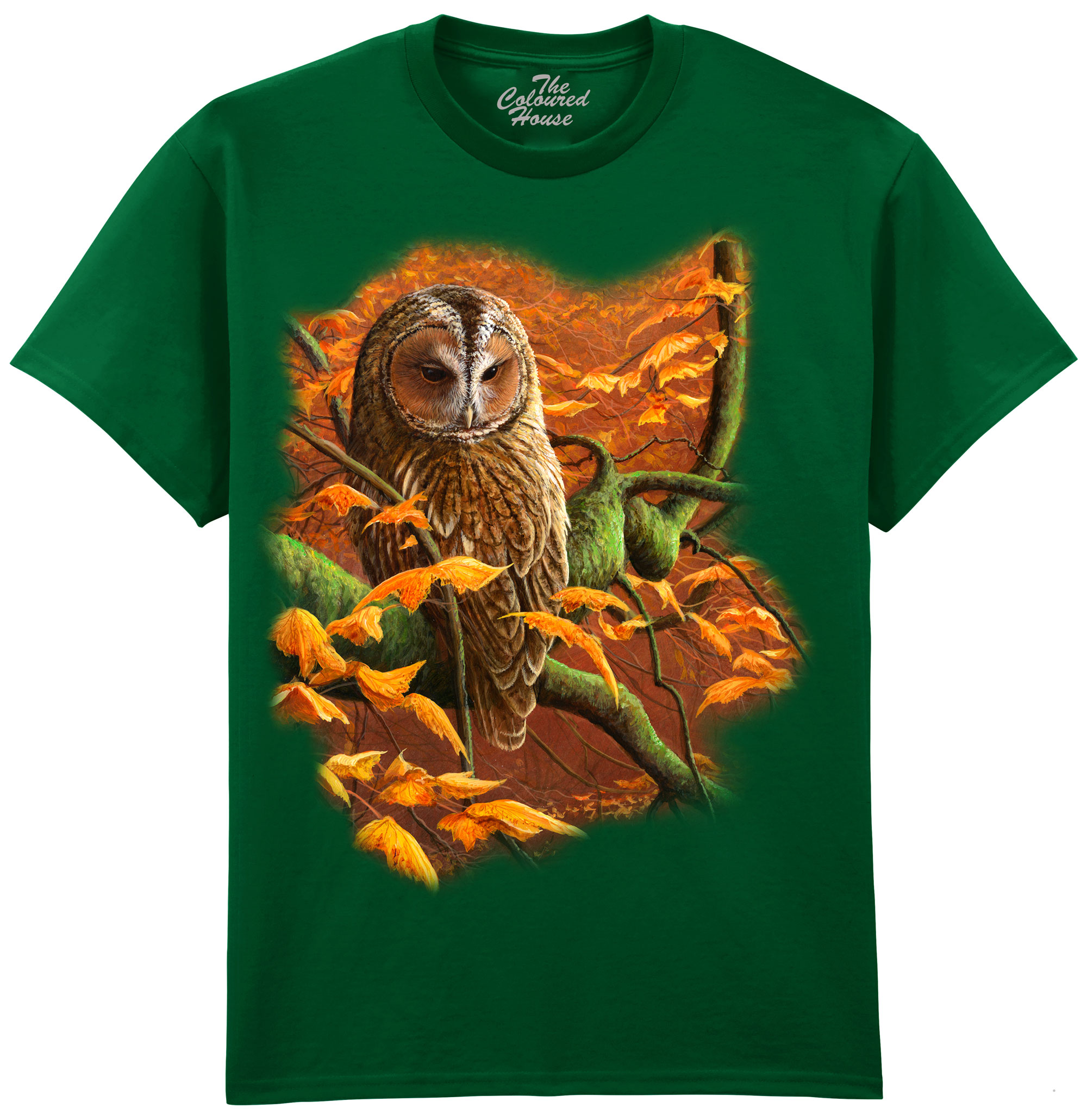 Autumn Tawny Owl
