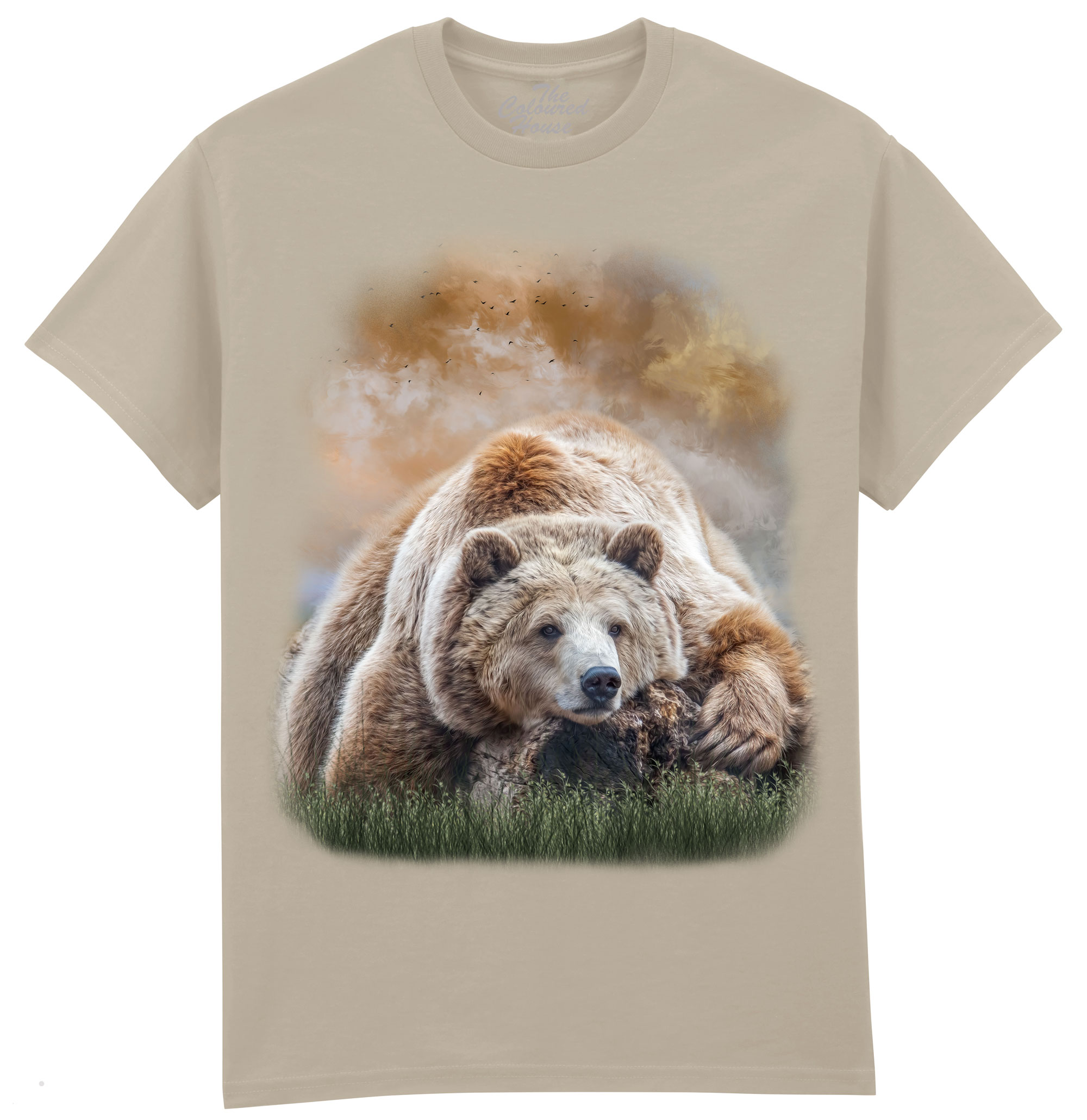 Bearly Awake