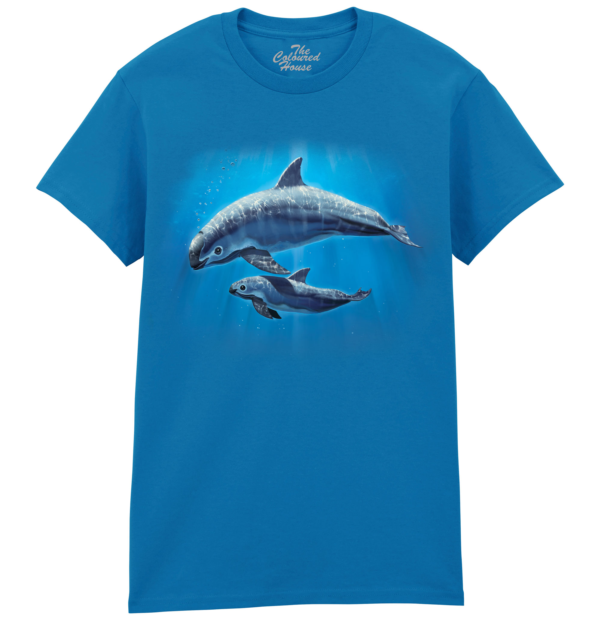Vaquita