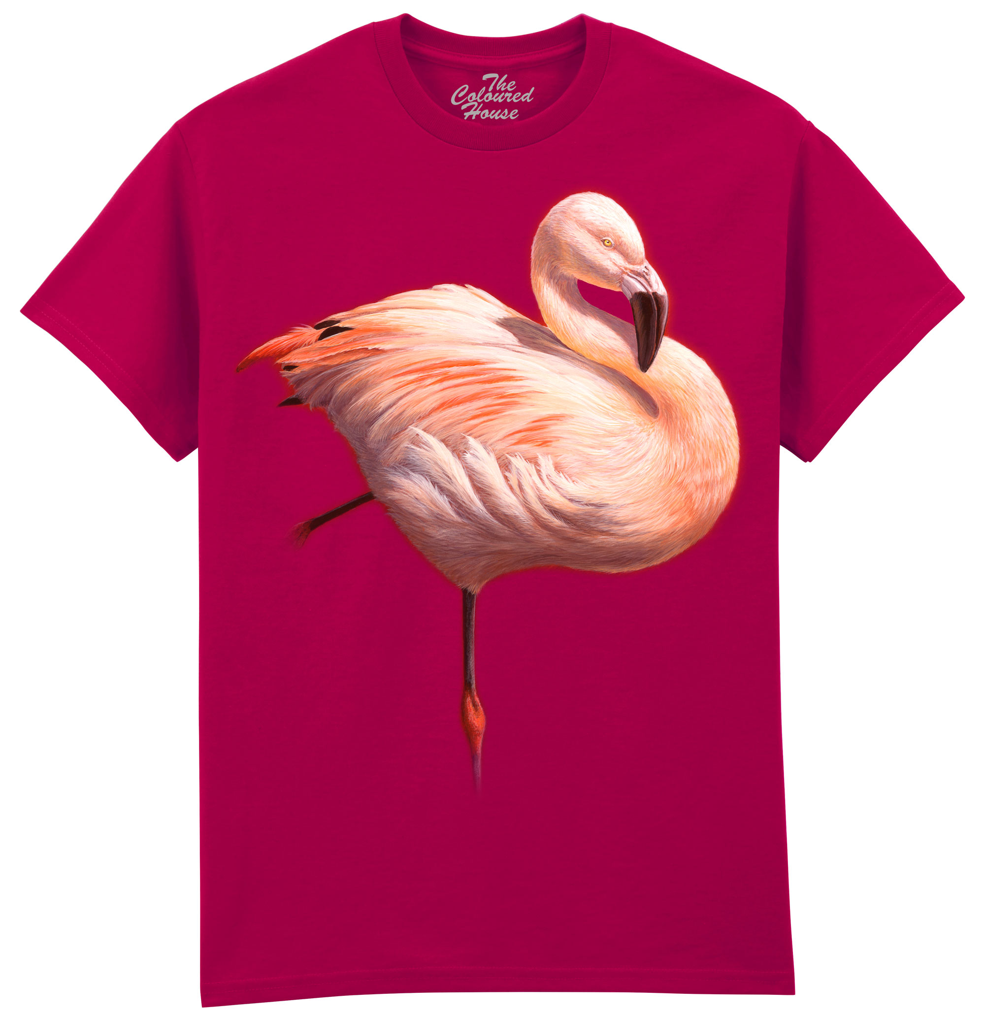 Flame Flamingo