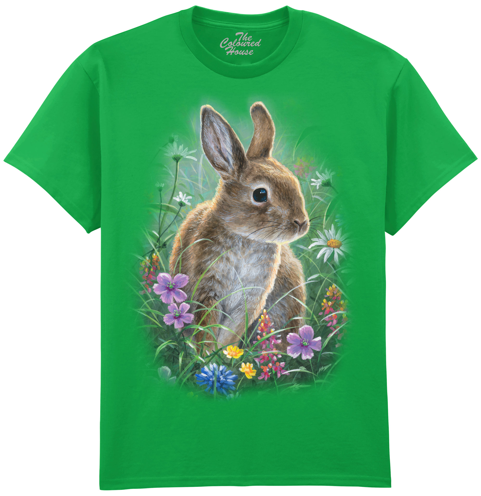 Spring Bunny