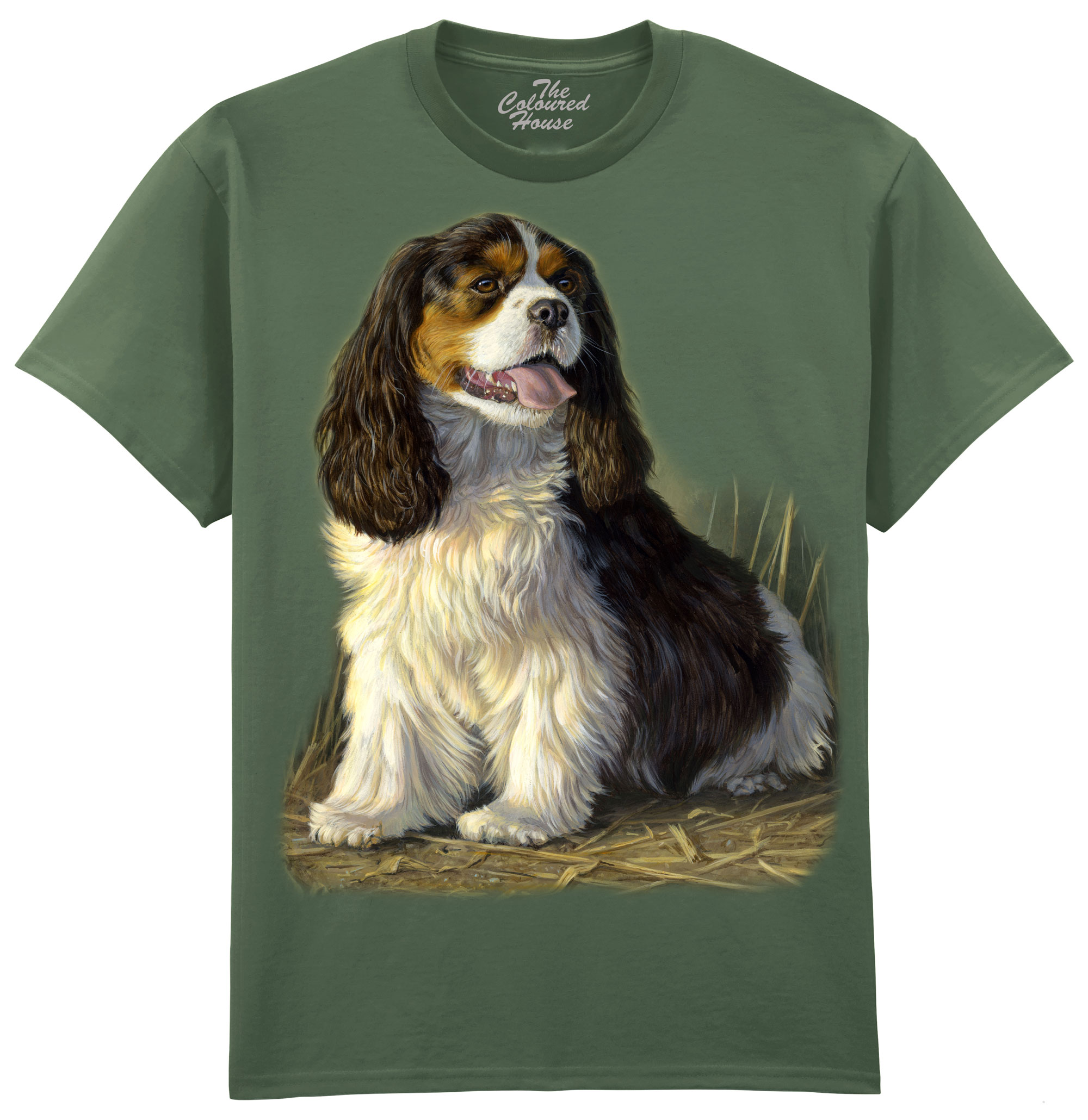 Cavalier King Charles