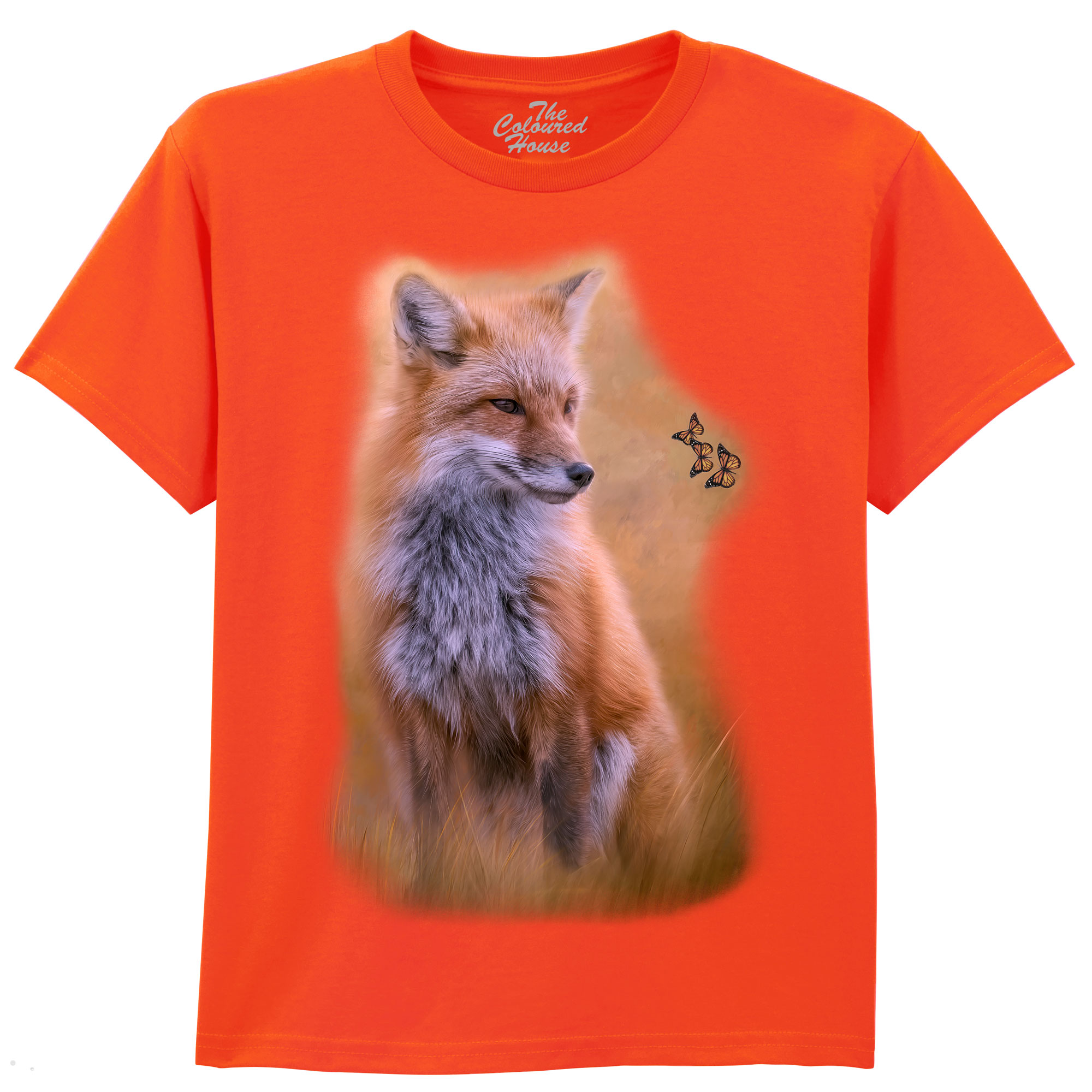 Watching Butterflies - Fox KIDS