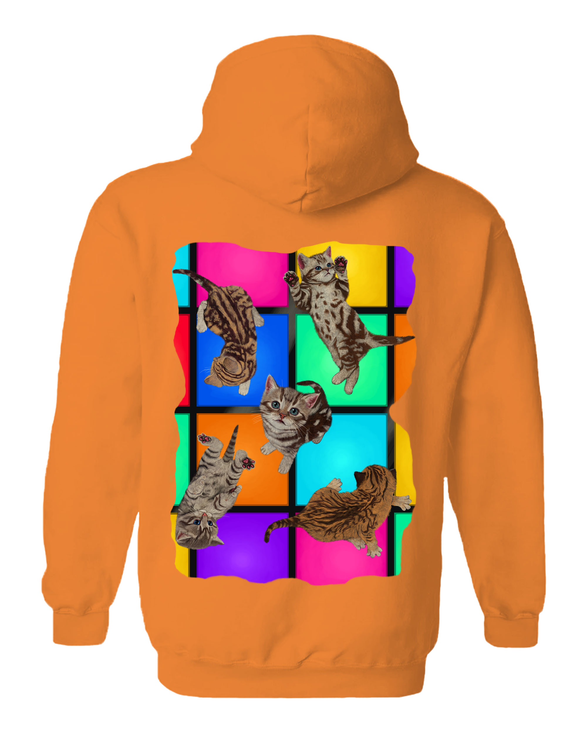 Disco Kittens Hoodie