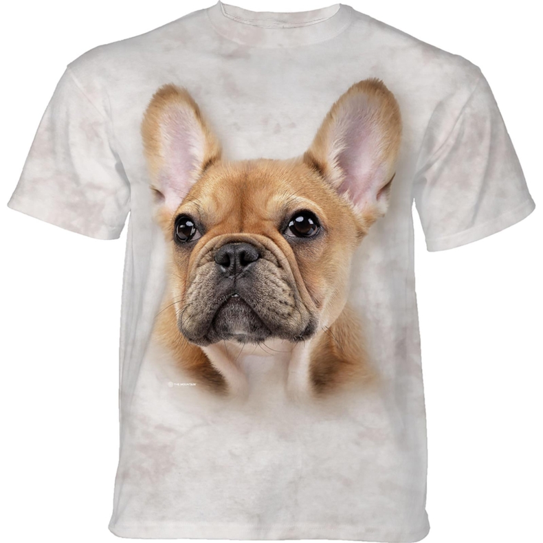 French Bulldog Face