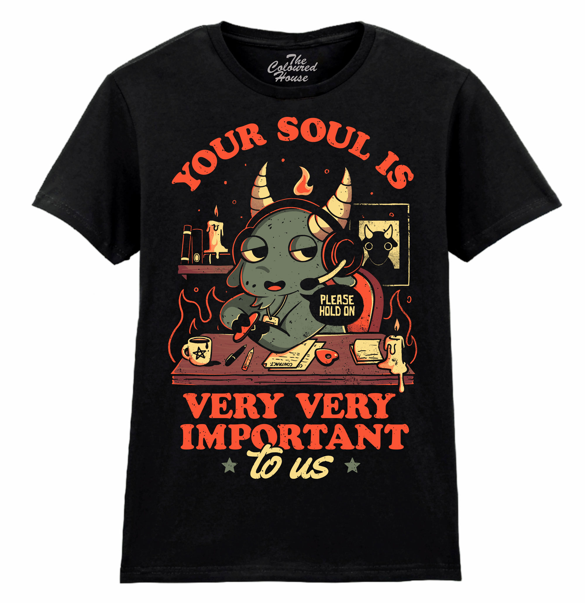 Your Soul Is Important Ladies T-shirt