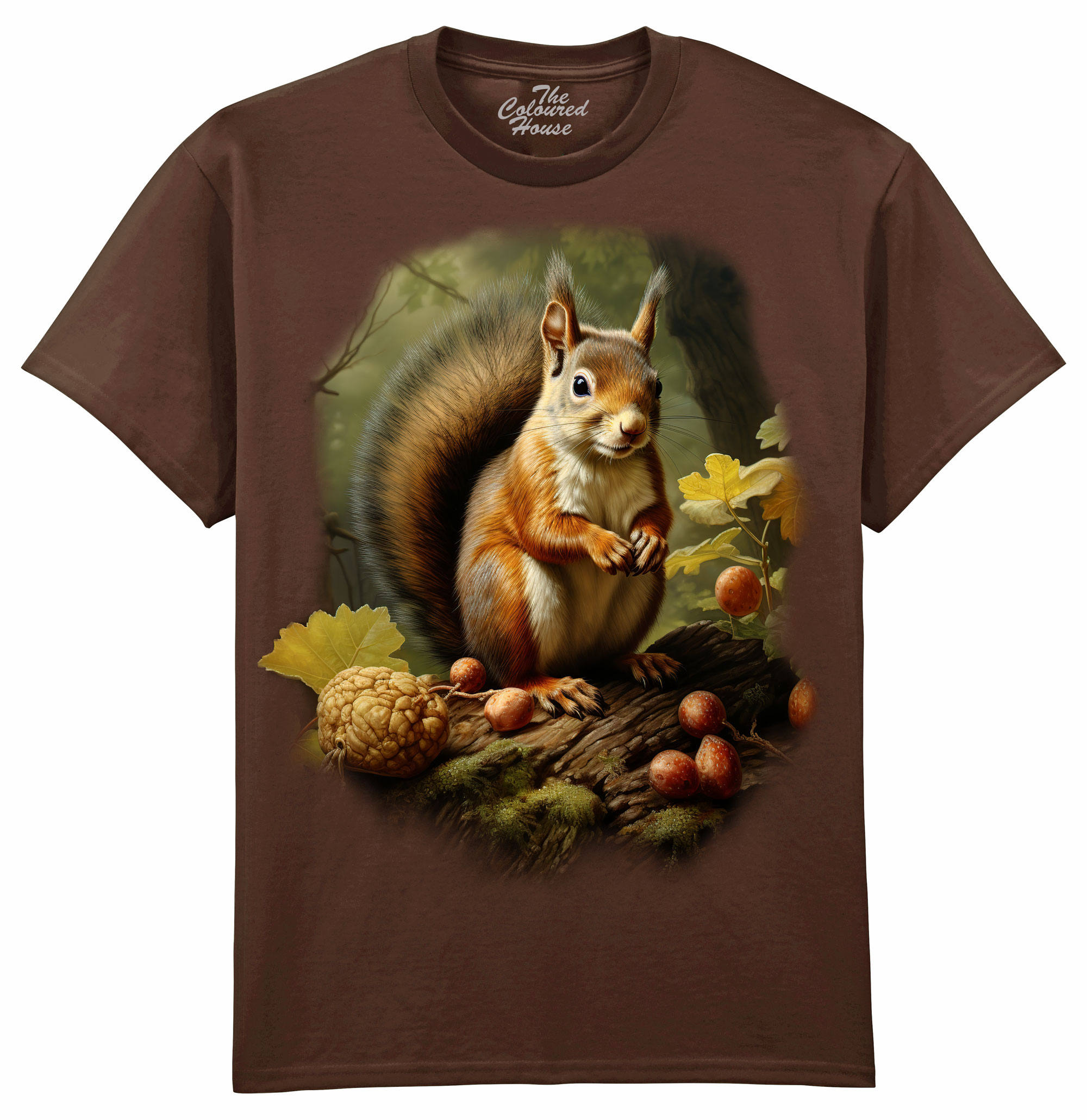 Squirrel In The Woods