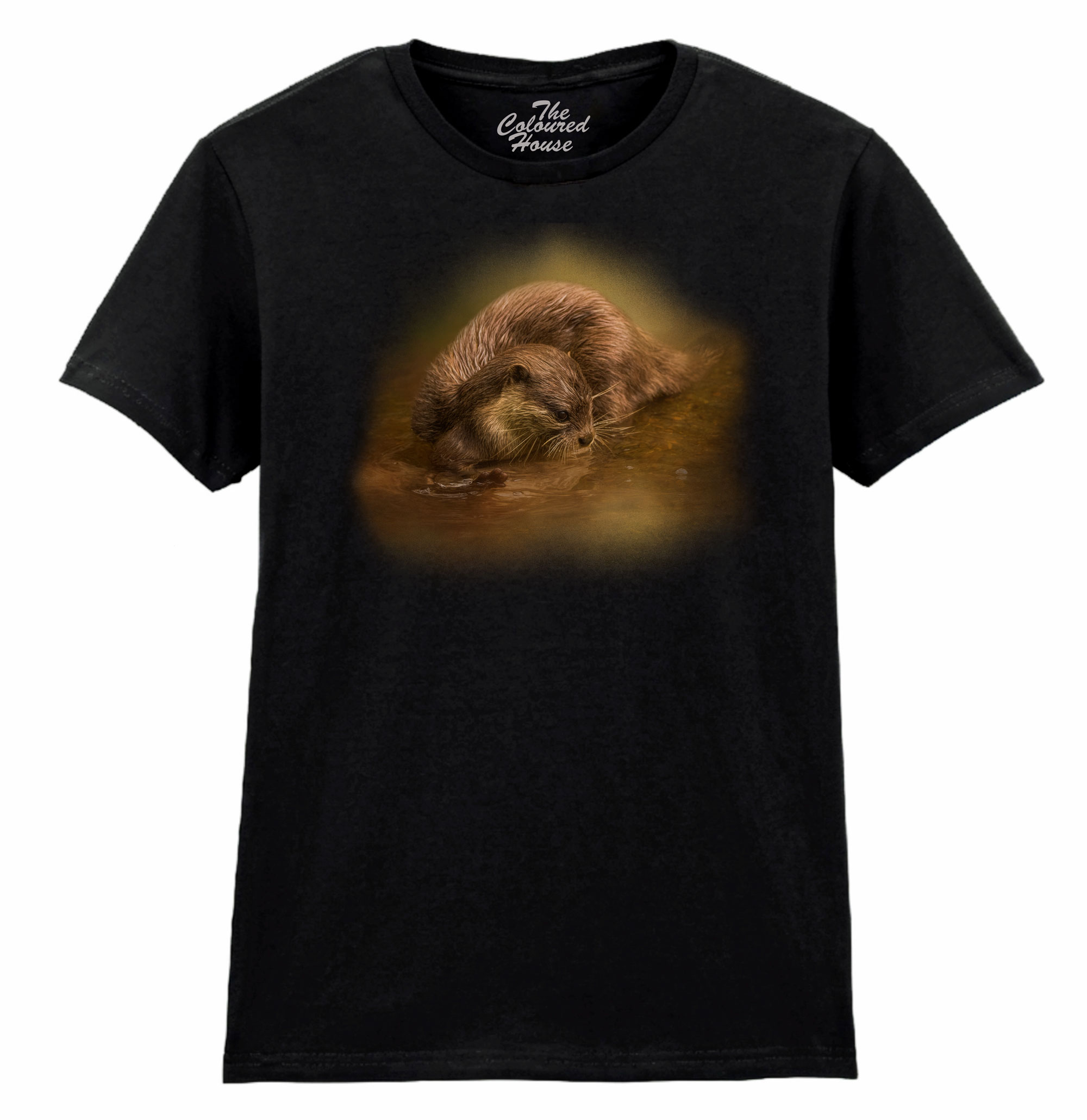 Otter Curosity Ladies T-shirt