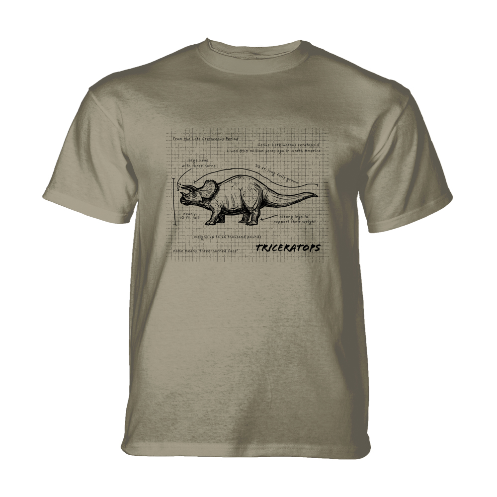 Triceratops Fact Sheet Beige