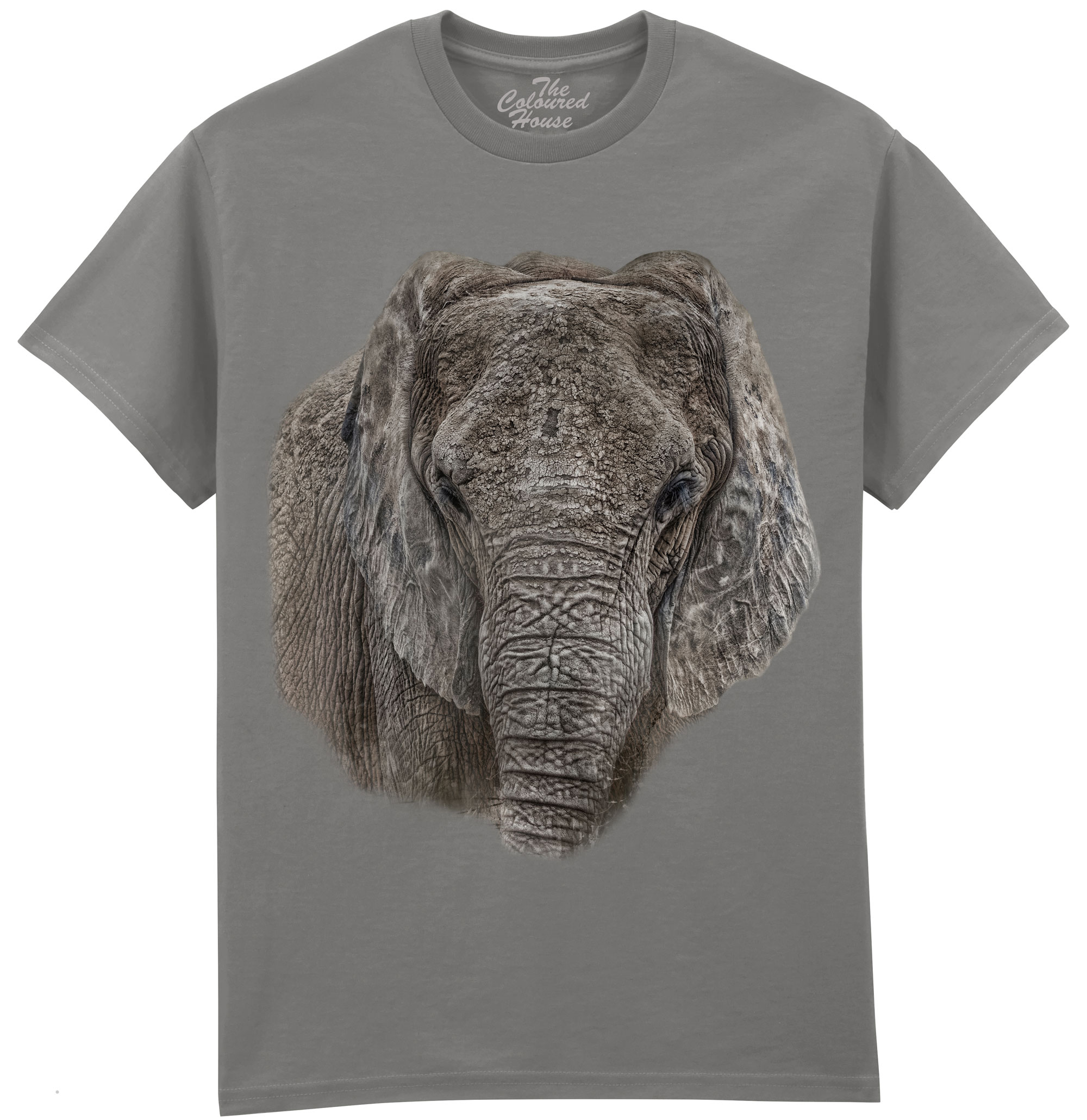 The Ancient One - Elephant