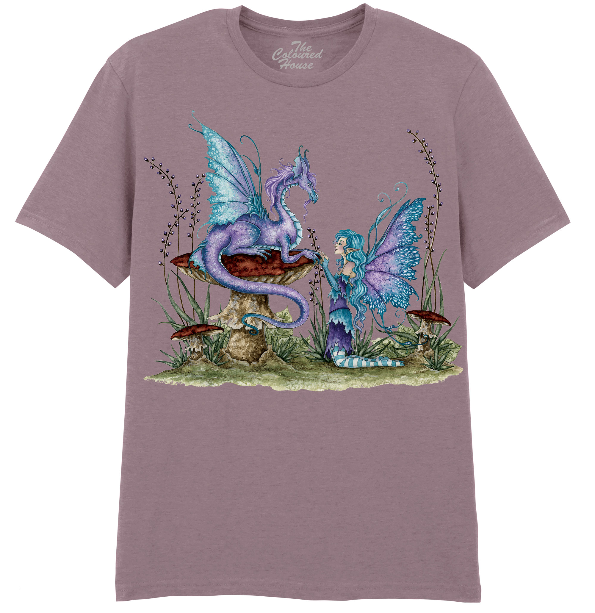 Companions - Fairy and Dragon