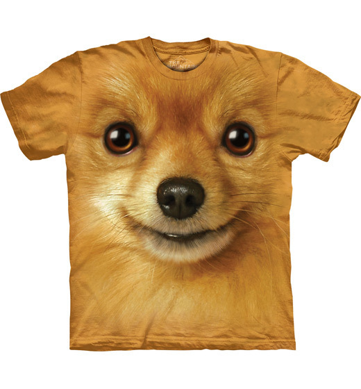 Pomeranian Face