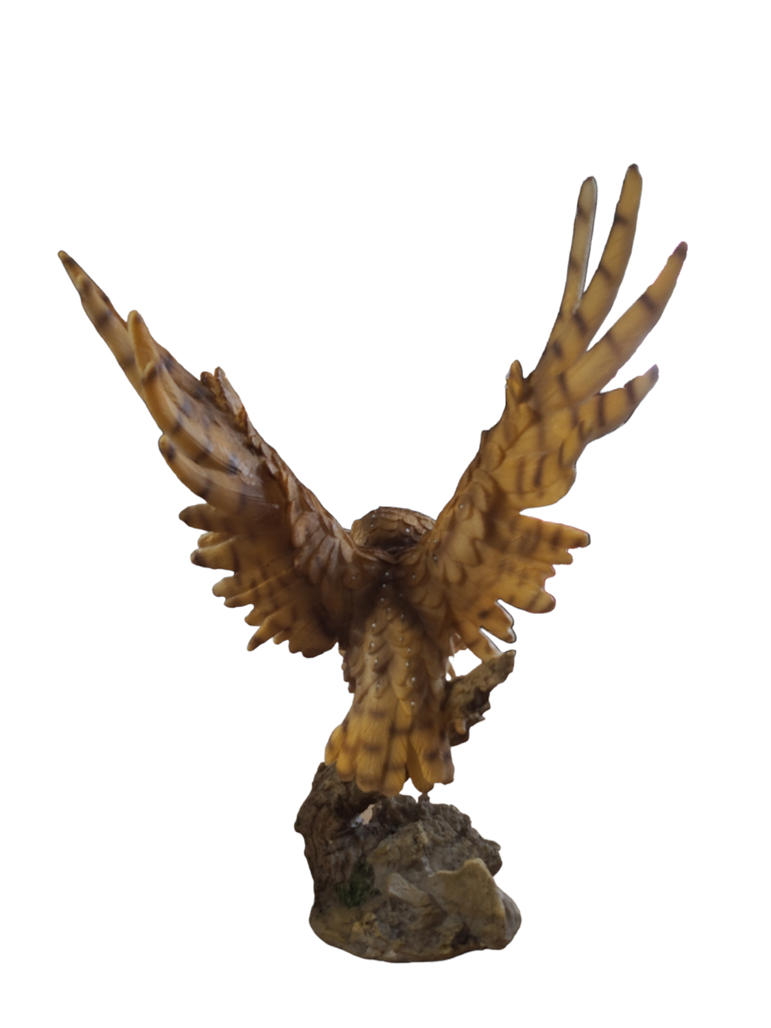 Barn Owl Starting to Fly